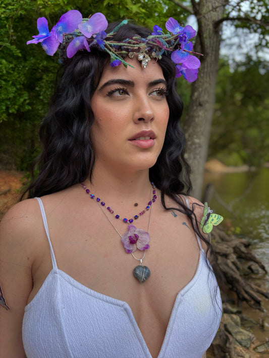 Latido de Orquídea